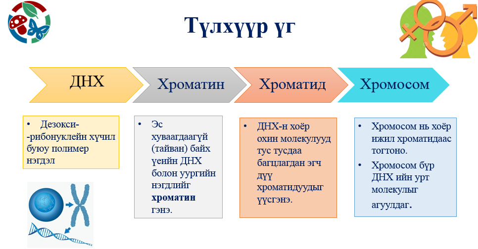 Мэдлээ | Цахим контент